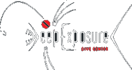 Cliente SDC Asociados - Deep Exposure